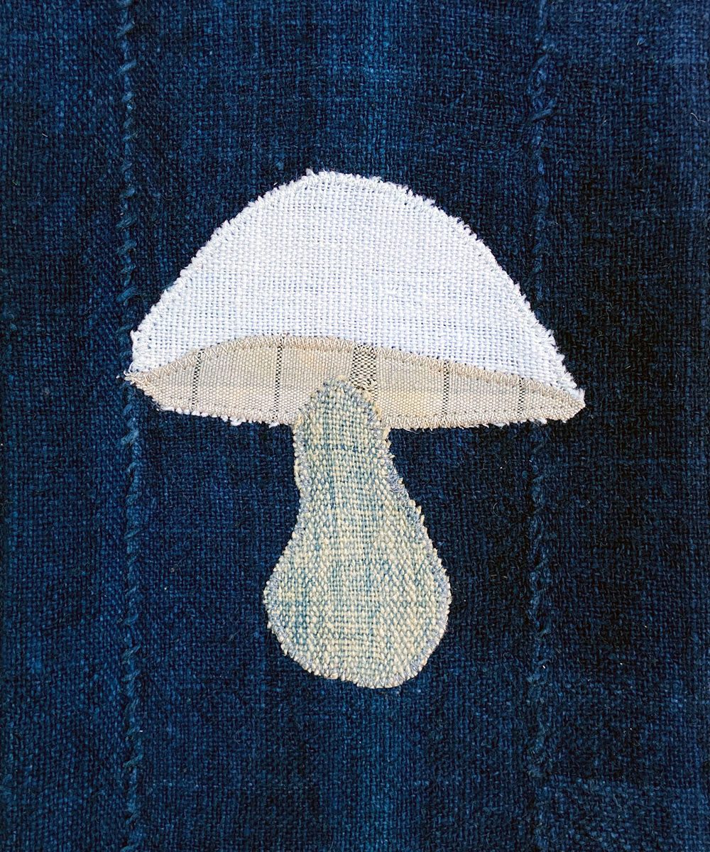 Mushroom 10