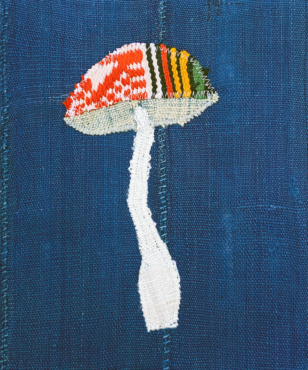 Mushroom 08
